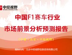 中国F1赛车联赛赛车赛车对决行业市场前景分析预测报告