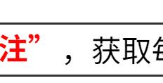 乒乓王子到“过街老鼠”张继科自己活成了一个“笑话”- 九球直播